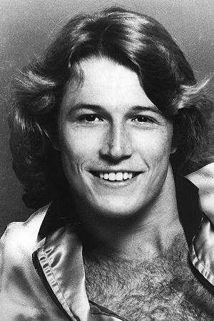 Andy Gibb Poster