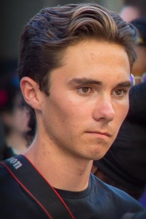 David Hogg Poster