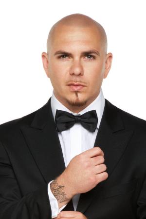 Pitbull Poster