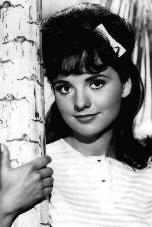 Dawn Wells Poster