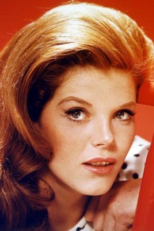 Samantha Eggar Poster