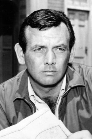 David Janssen's poster