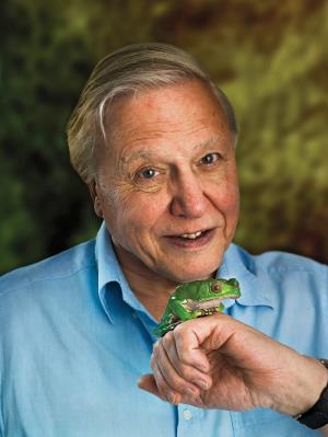 David Attenborough Poster