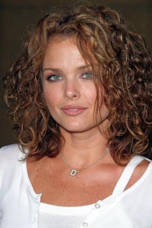 Dina Meyer's poster