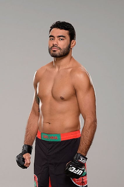 Rafael Natal's poster