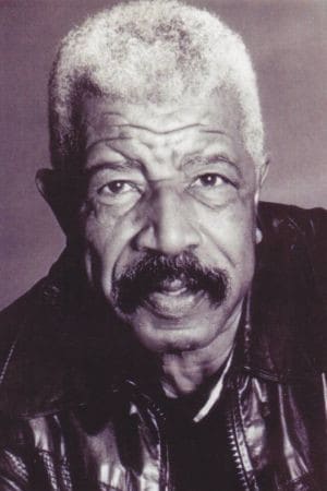 Hal Williams Poster