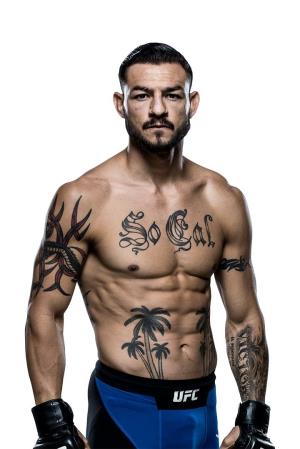 Cub Swanson's poster