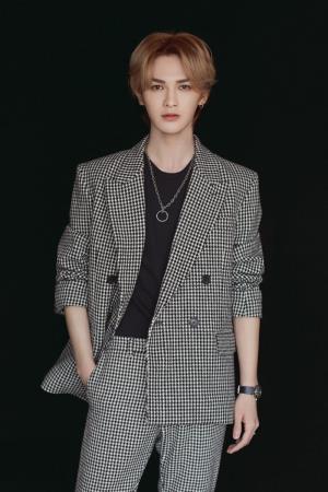 Zhu Zhengting's poster