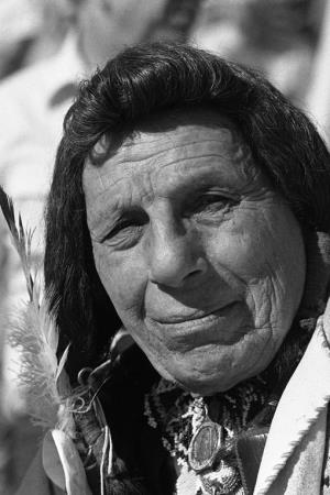 Iron Eyes Cody's poster