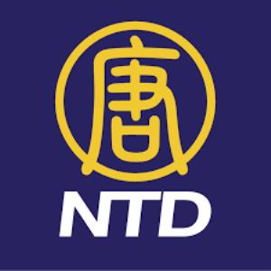 NTD logo