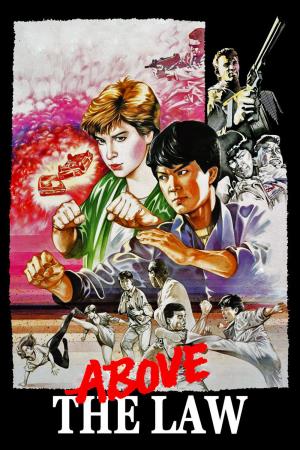 Righting Wrongs's Poster