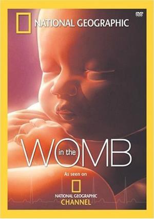 In the Womb's Poster