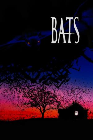 Bats's Poster