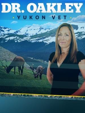 Yukon Vet's Poster