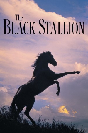 The Black Stallion's Poster