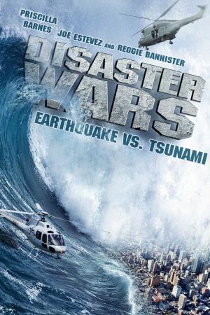 Disaster Earth's Poster