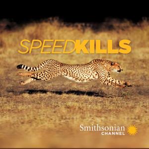 Speed Kills's Poster