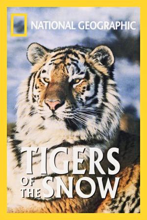 Tigers of the Snow's Poster