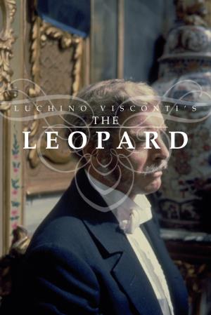 Cheetah - The Leopard's Poster