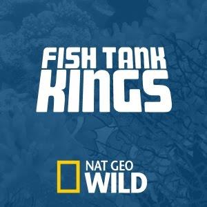 Fish Tank Kings's Poster