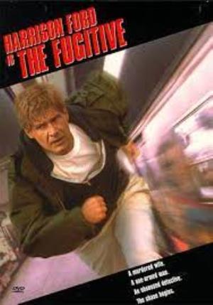 The Fugitive's Poster