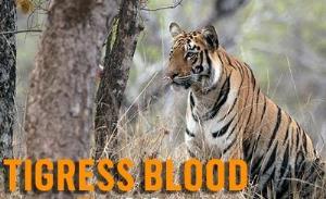 Tigress Blood's Poster