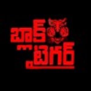 Black Tiger's Poster