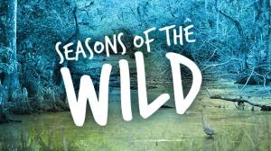 Seasons Of The Wild's Poster
