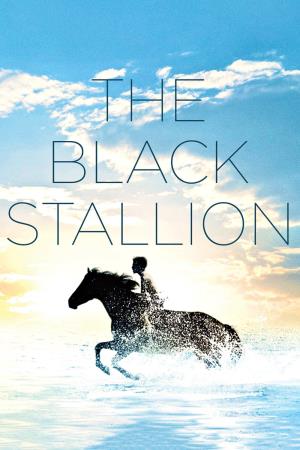 The Black Stallion's Poster