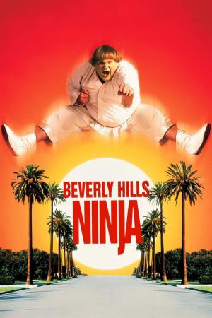 Beverly Hills Ninja's Poster