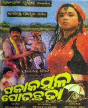 Paka Kambal Pot Chhota's Poster