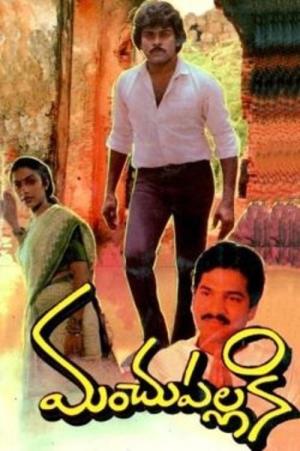 Manchu Pallaki's Poster