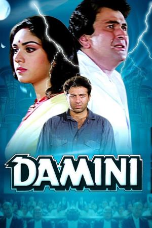 Damini's Poster