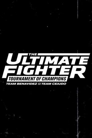 The Ultimate Fighter's Poster