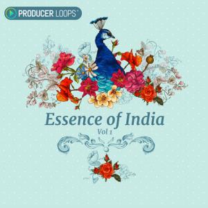 Essence Of India's Poster