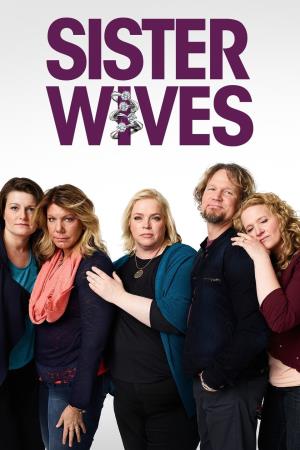 Sister Wives's Poster