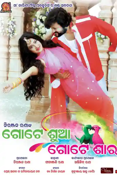 Gote Sua Gote Sari's Poster