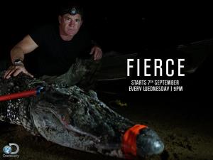 Fierce's Poster