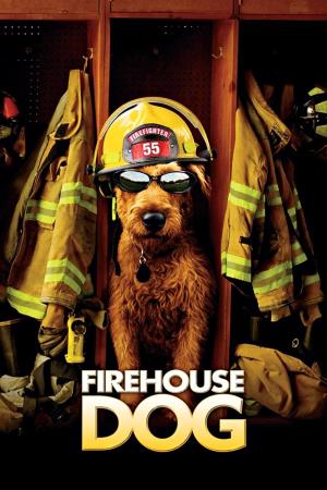 Firehouse Dog's Poster