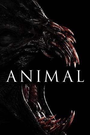 Animal's Poster