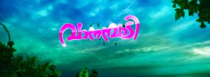 Vanambadi's Poster