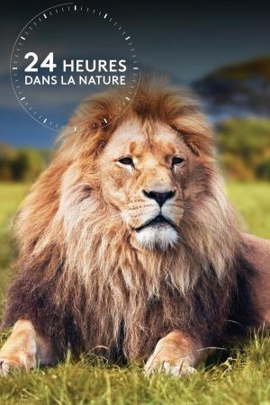 Wild 24's Poster