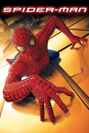 Spider  Man's Poster