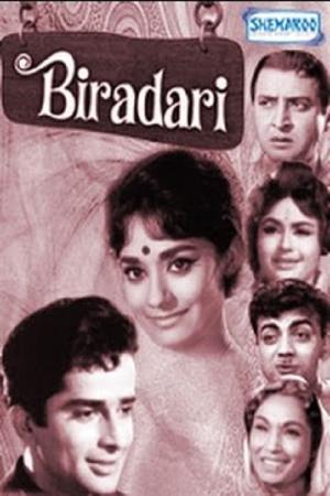 Biradari's Poster