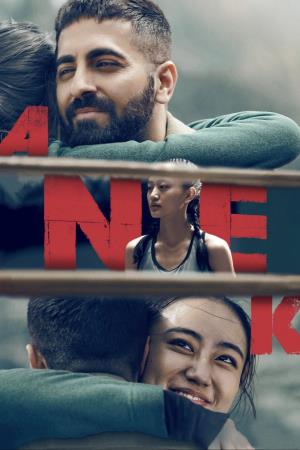 Anek's Poster