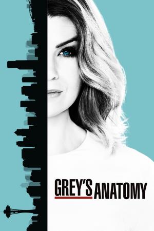Grey's Anatomy's Poster