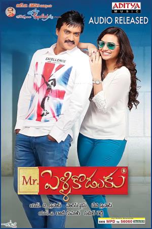 Mr Pellikoduku's Poster