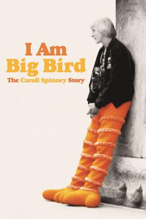 Big Story's Poster