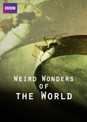 Weird Wonders Of The World's Poster