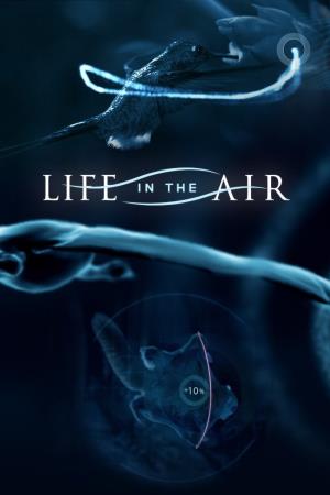 Life In The Air's Poster